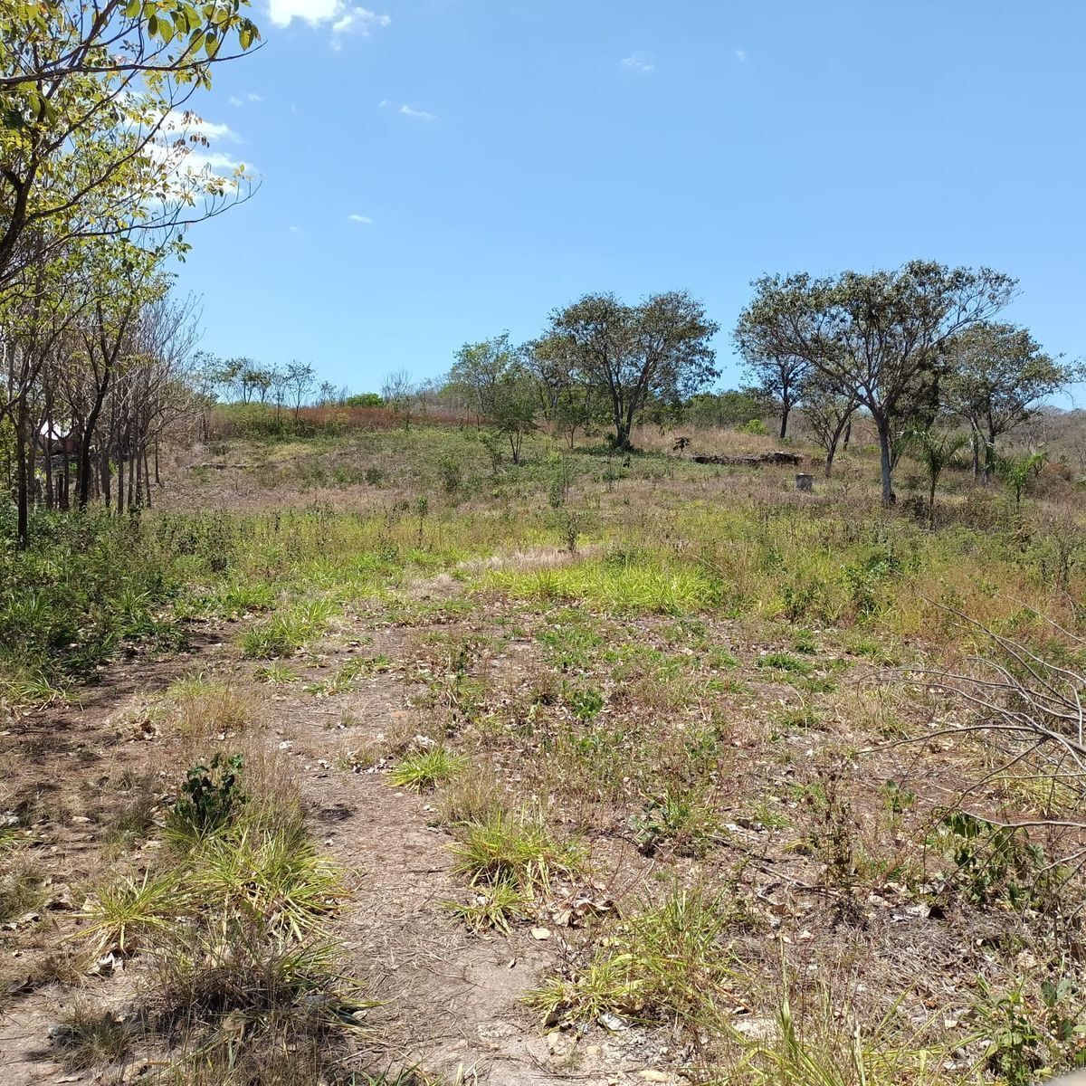 Terreno sobre carretera en Castamay Campeche.