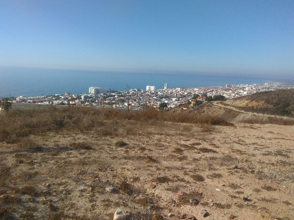 1 de 8
