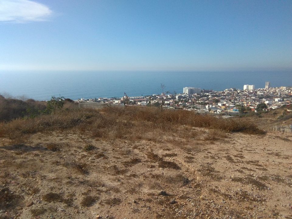 4 de 8