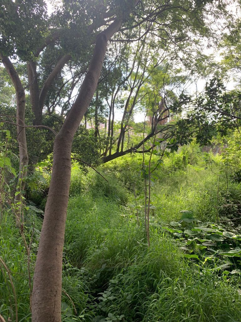 3 de 5