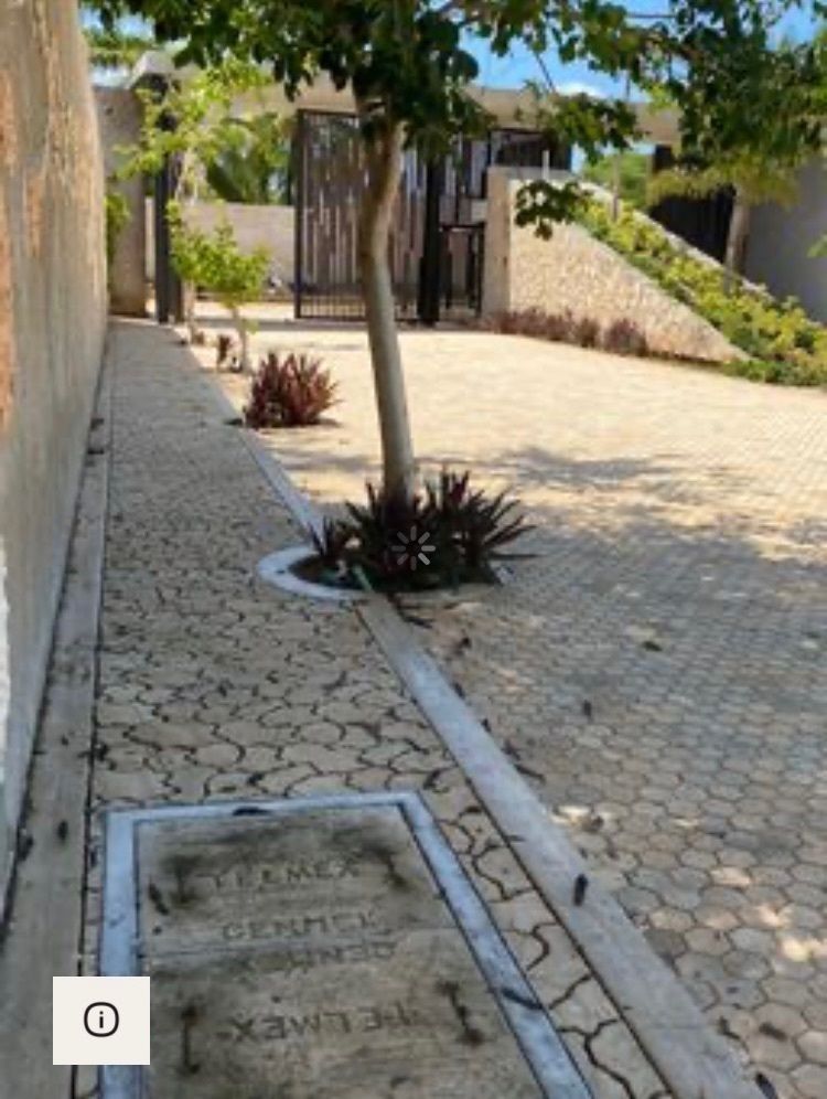 Lot in Temozón Norte, Mérida, photo 4 of 8