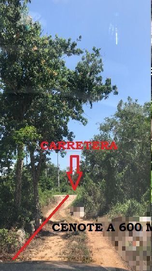 5 de 15