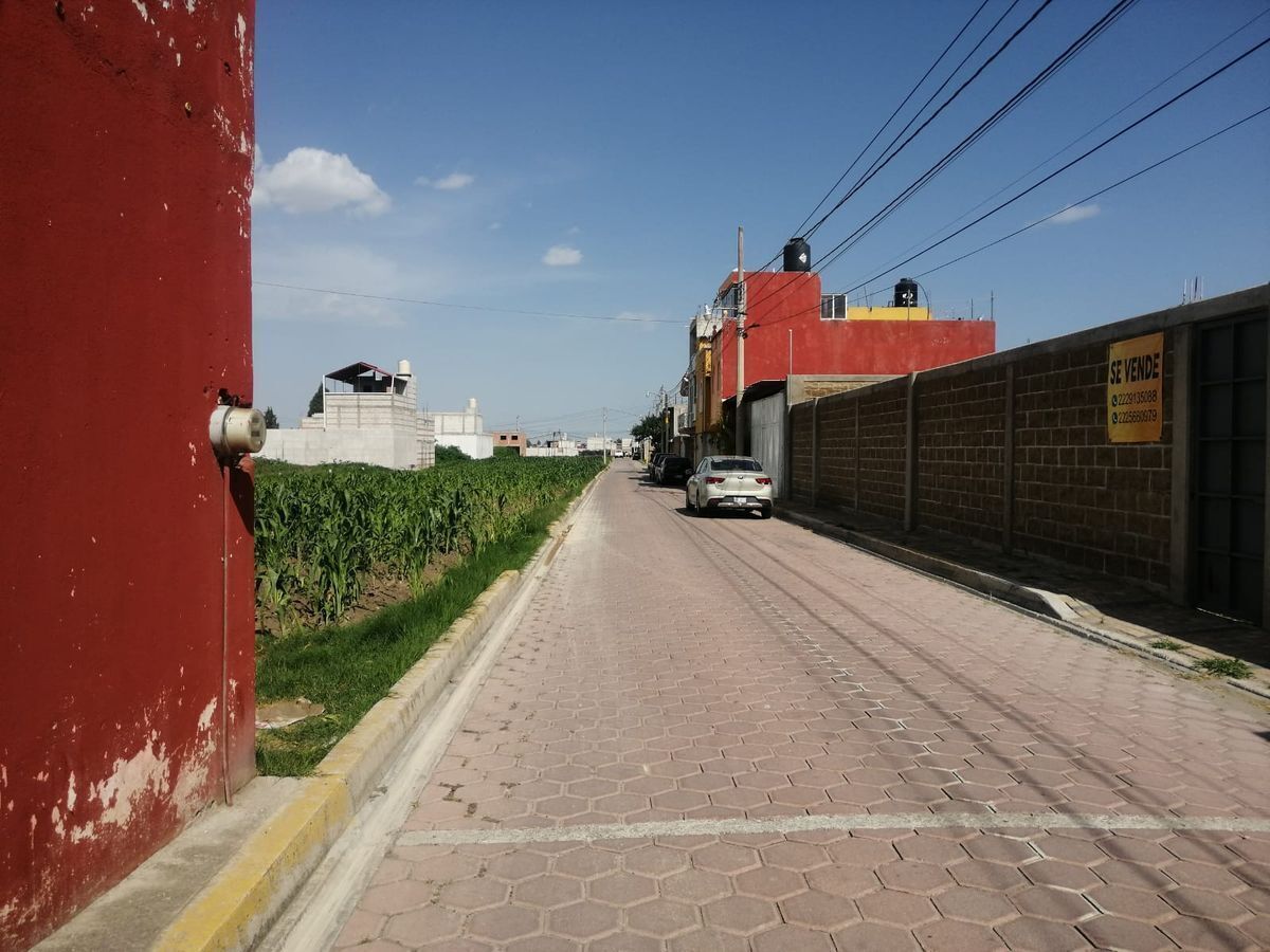 11 de 15: Sobre Calle Adoquinada