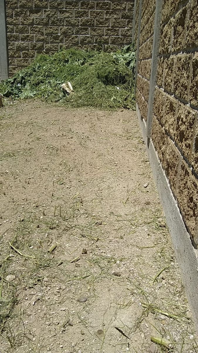 13 de 15: Terreno plano con jardin