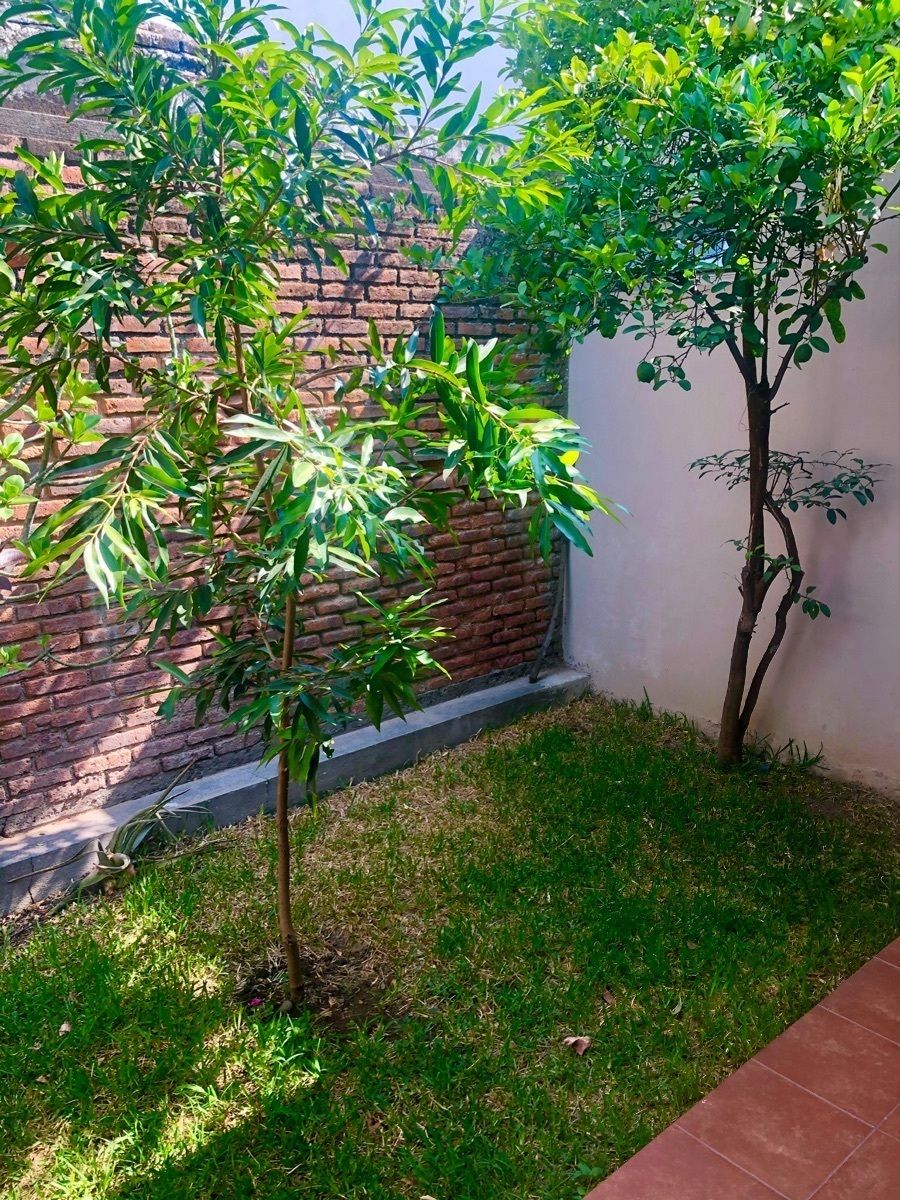 17 de 22: Jardín trasero 
