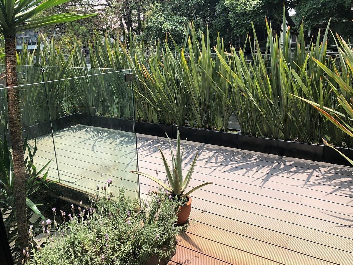 Apartamento em Polanco III Sección, Miguel Hidalgo, foto 13 de 18