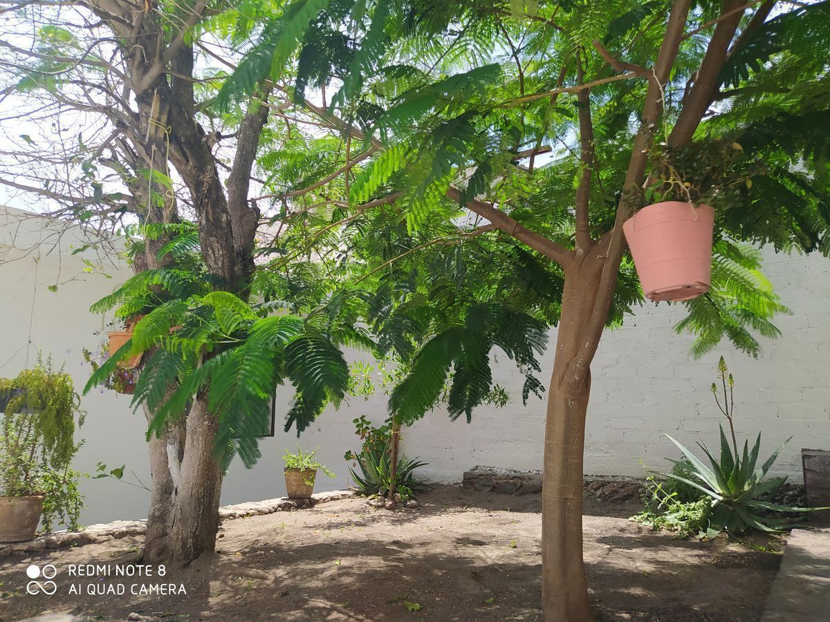 3 de 25
