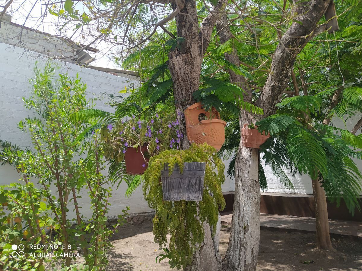 4 de 25