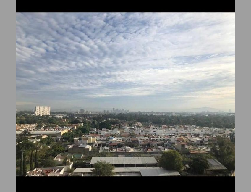 4 de 8: Vista desde el comedor