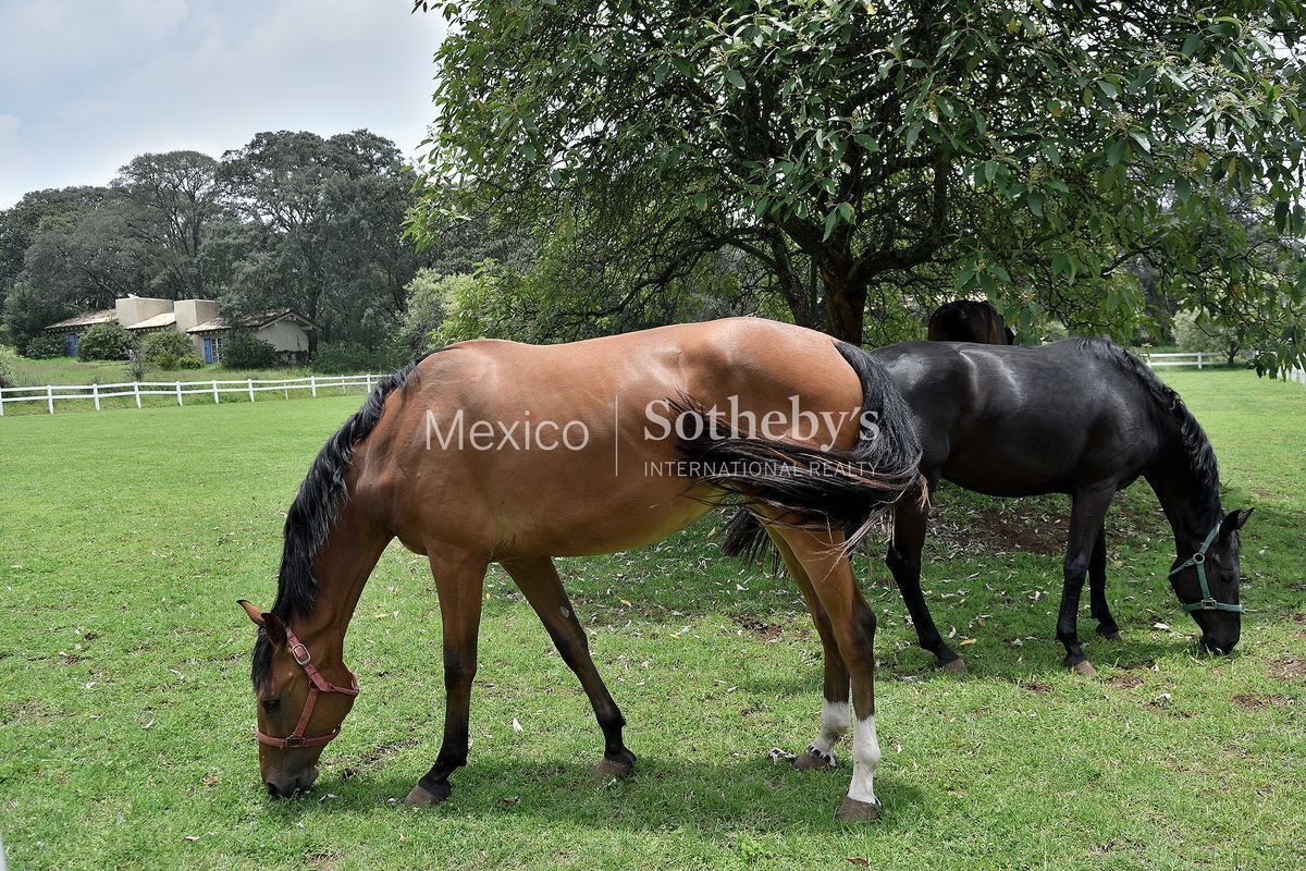 Rancho en venta en Jilotepec, Rancho Tepozán - foto 3