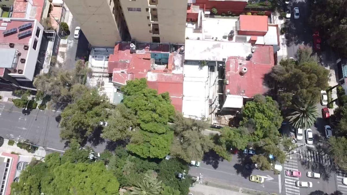 7 de 17