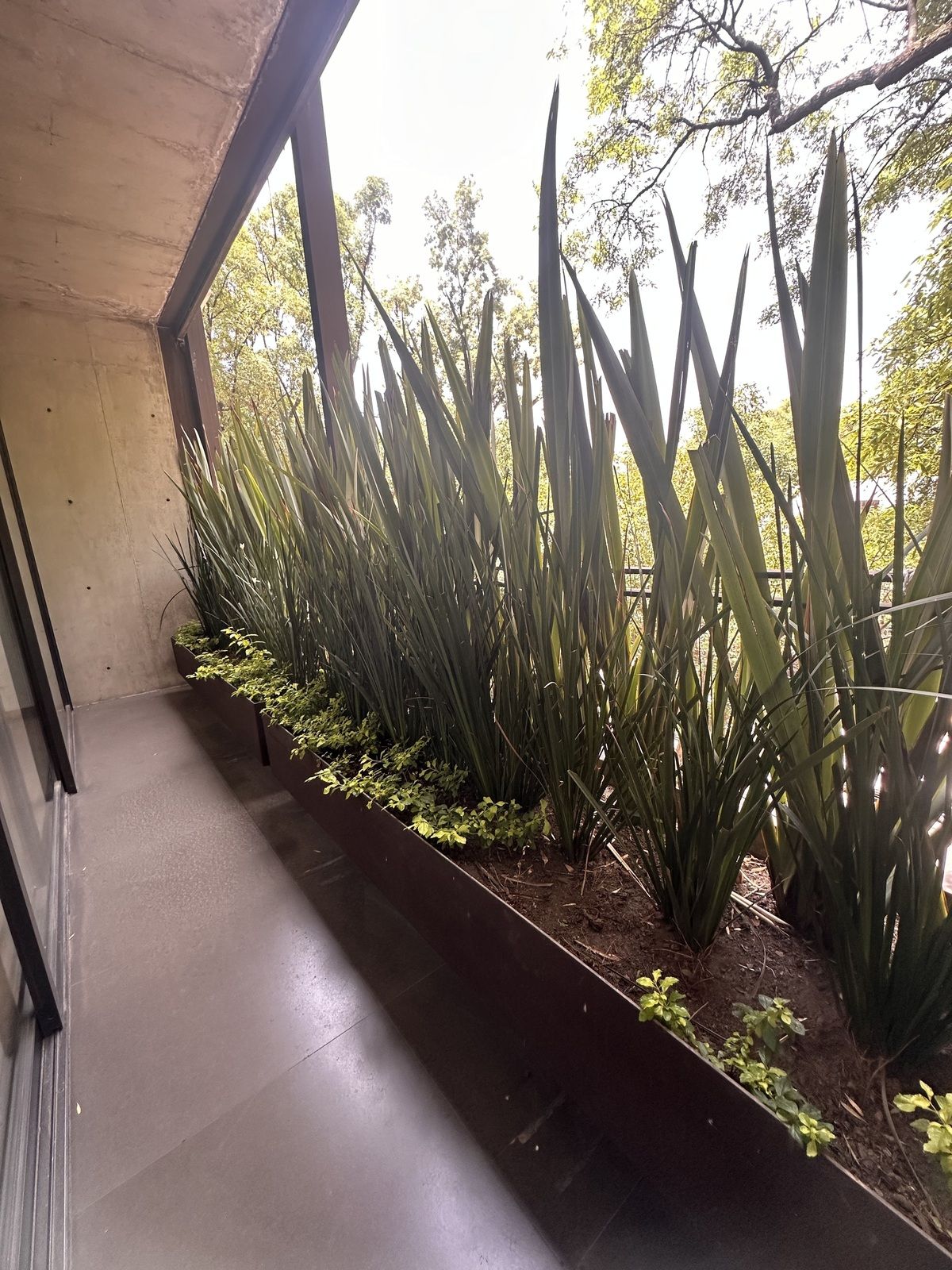 Apartamento em Polanco IV Sección, Miguel Hidalgo, foto 25 de 44