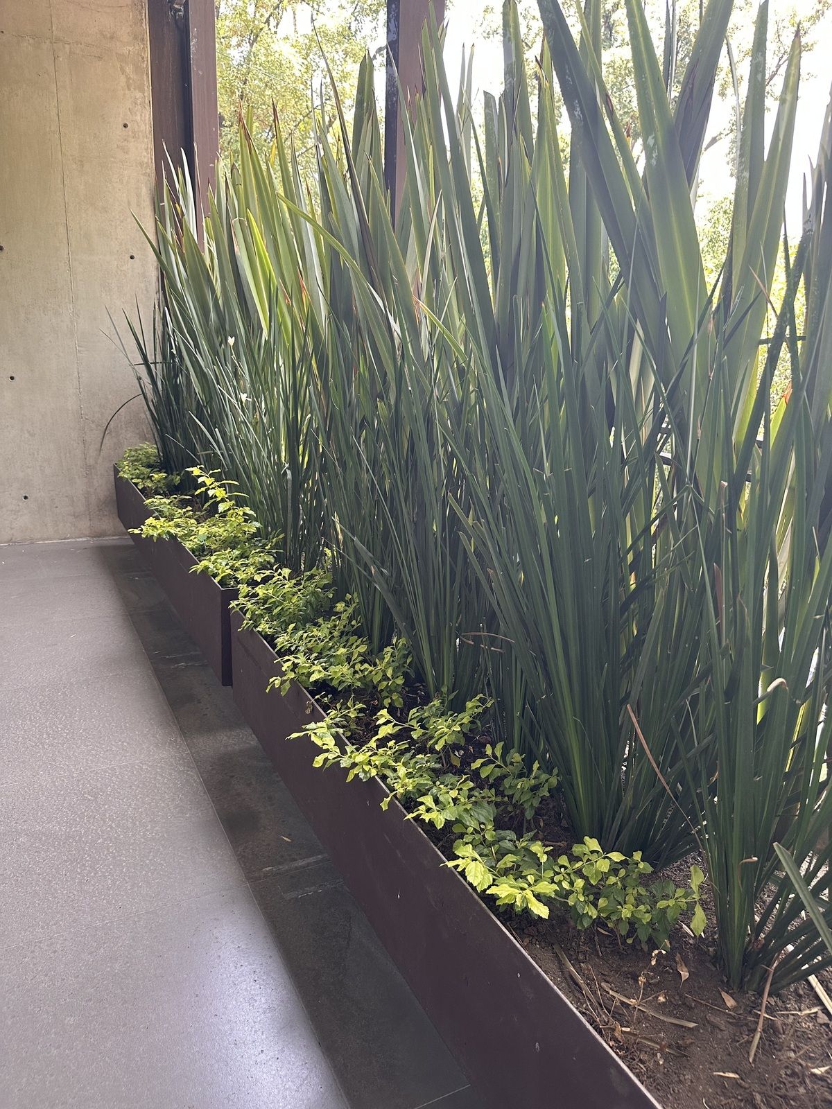 Apartamento em Polanco IV Sección, Miguel Hidalgo, foto 26 de 44