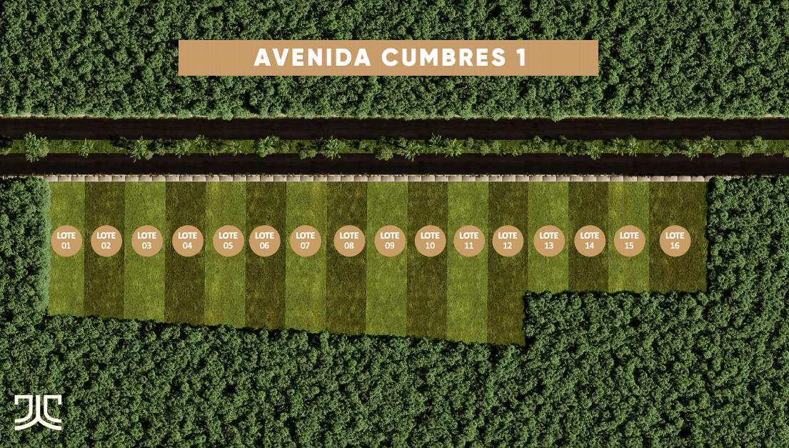 3 de 16