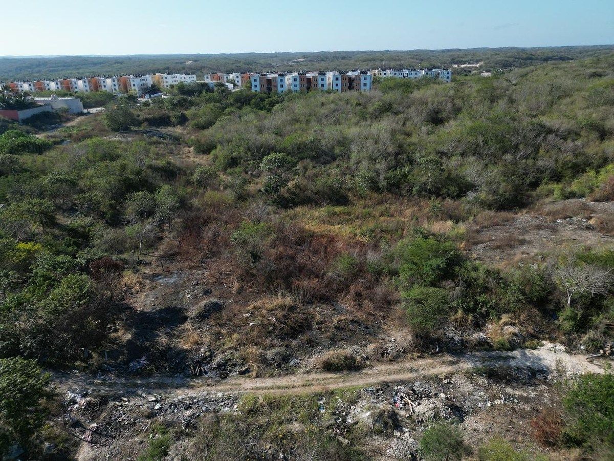Lot in Samula, Campeche, photo 3 of 15