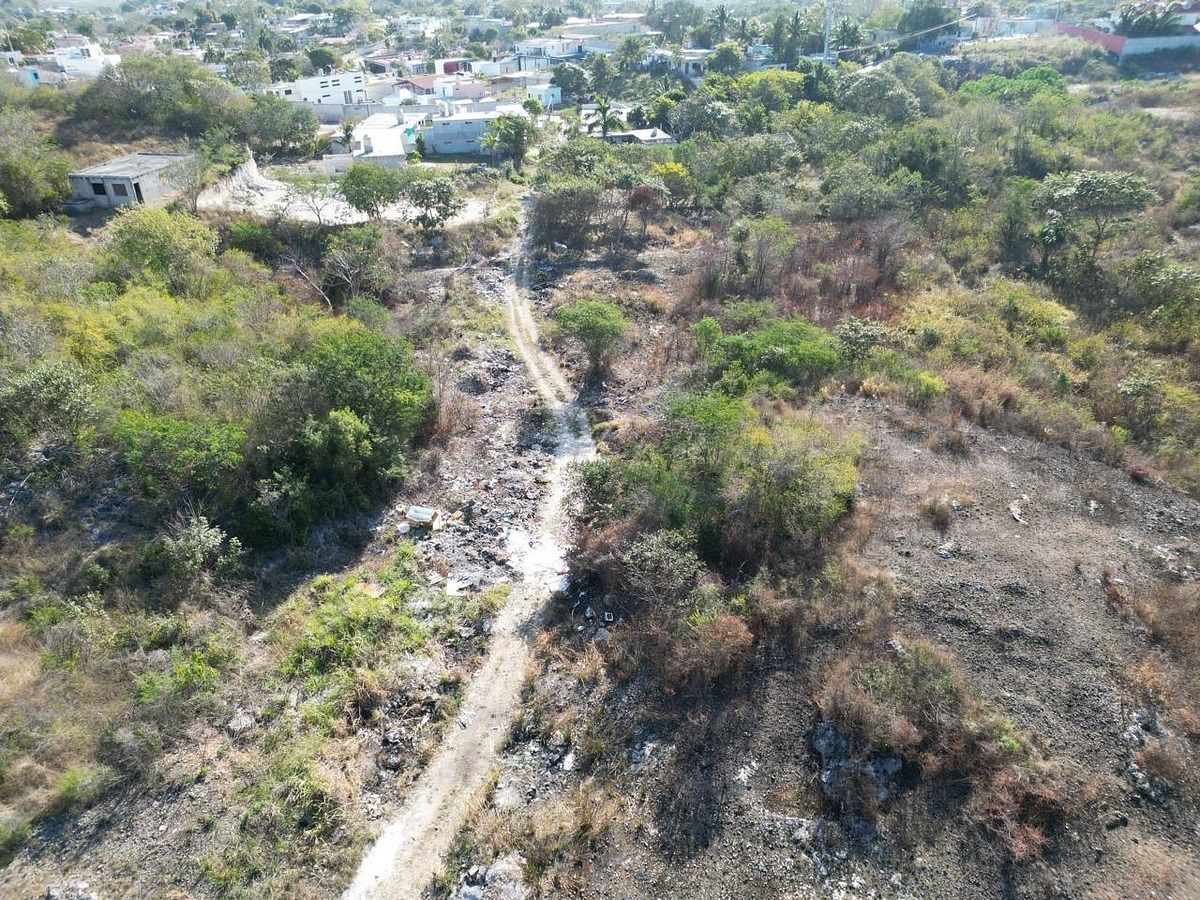 Lot in Samula, Campeche, photo 6 of 15