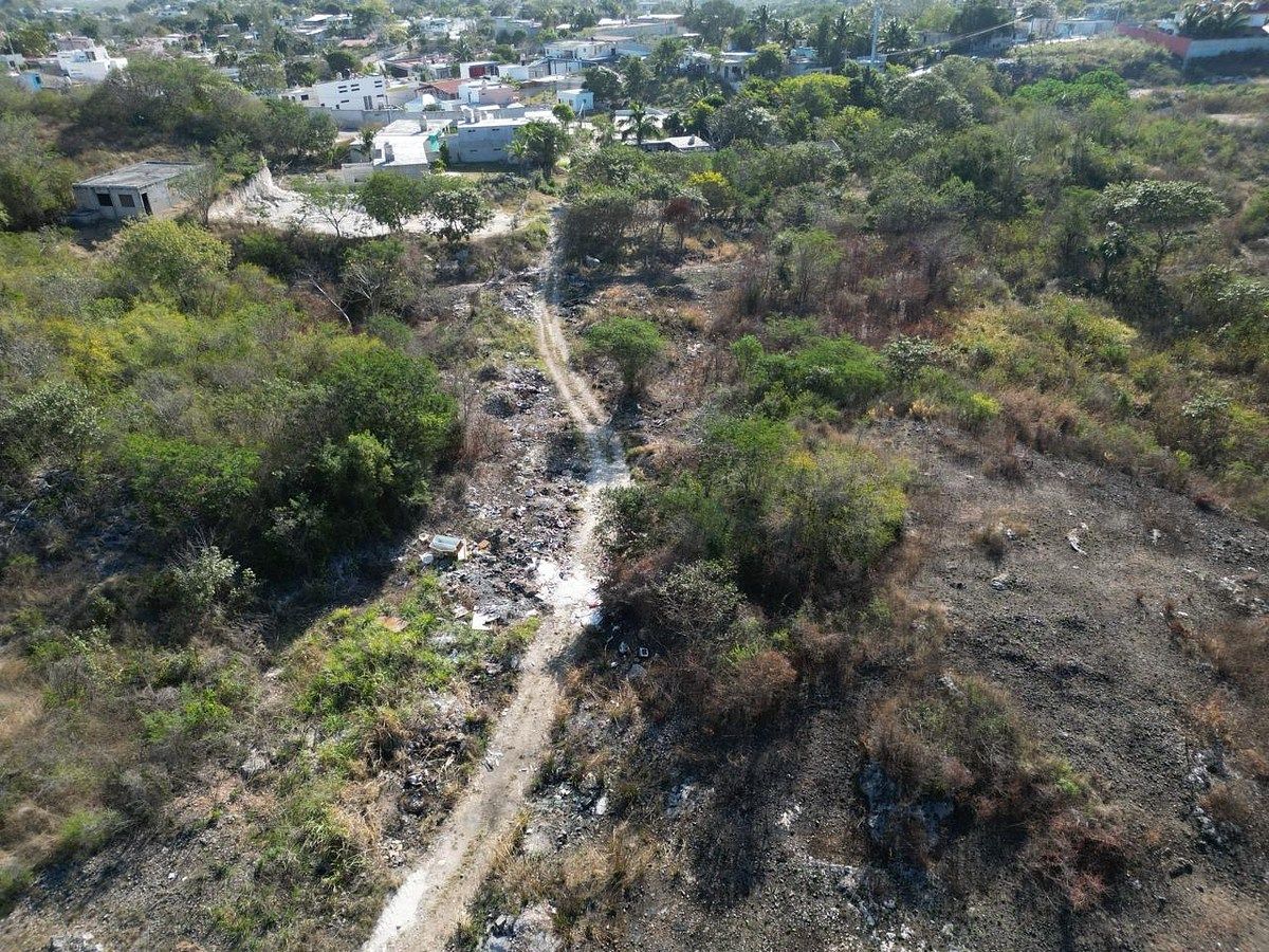 Lot in Samula, Campeche, photo 7 of 15