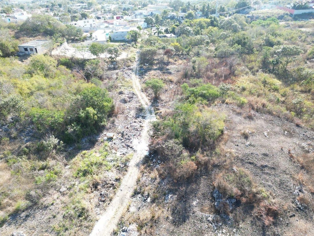 Lot in Samula, Campeche, photo 10 of 15