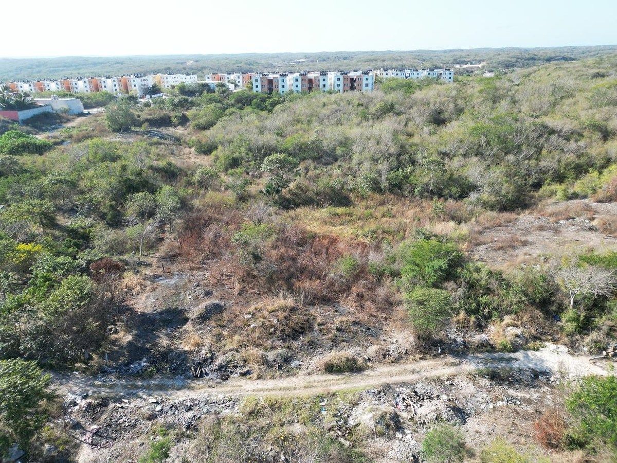 Lot in Samula, Campeche, photo 12 of 15