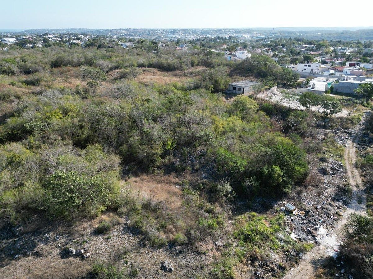 Lot in Samula, Campeche, photo 13 of 15