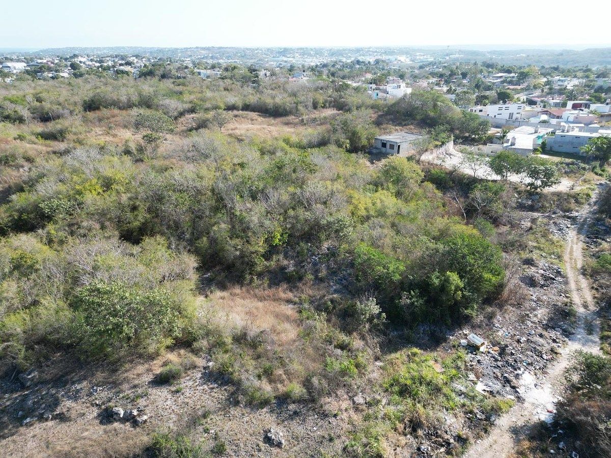 Lot in Samula, Campeche, photo 14 of 15