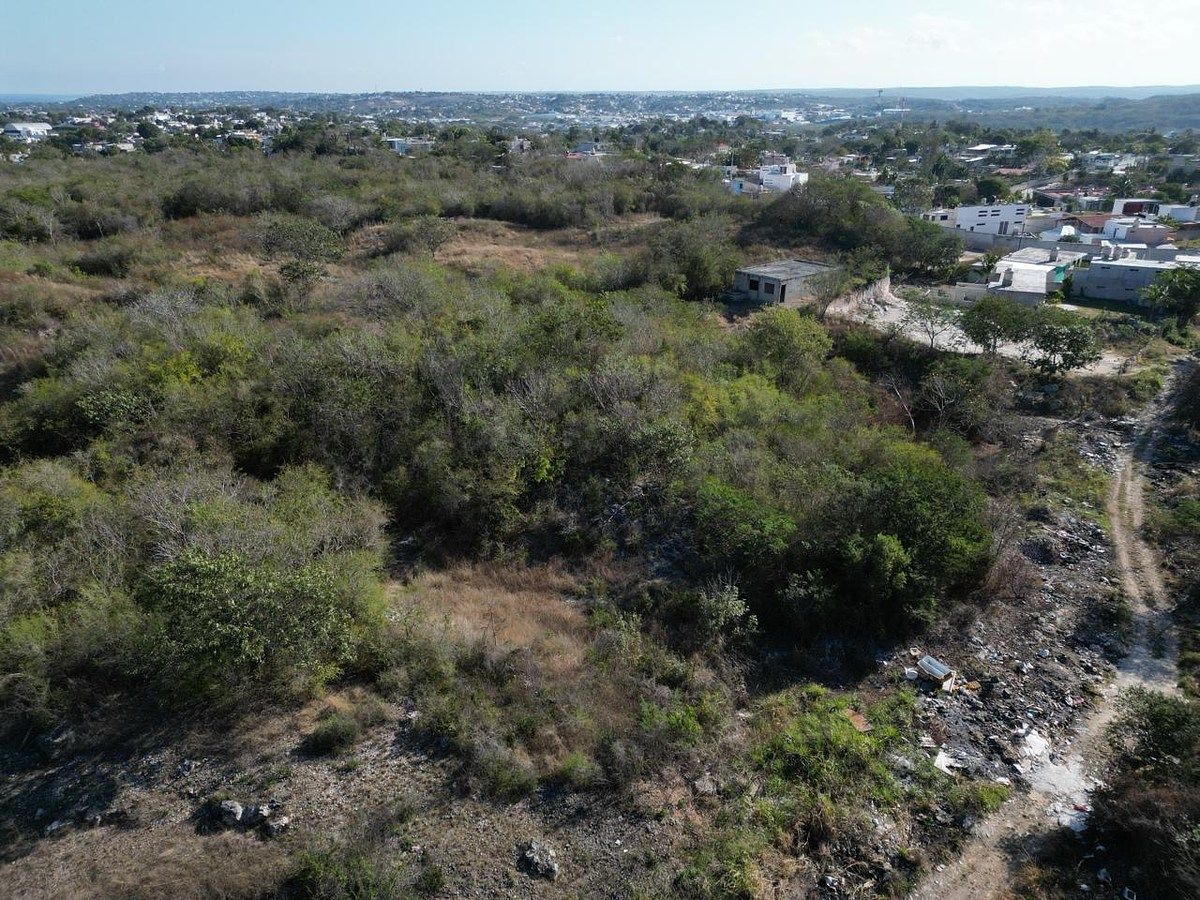 Lot in Samula, Campeche, photo 15 of 15