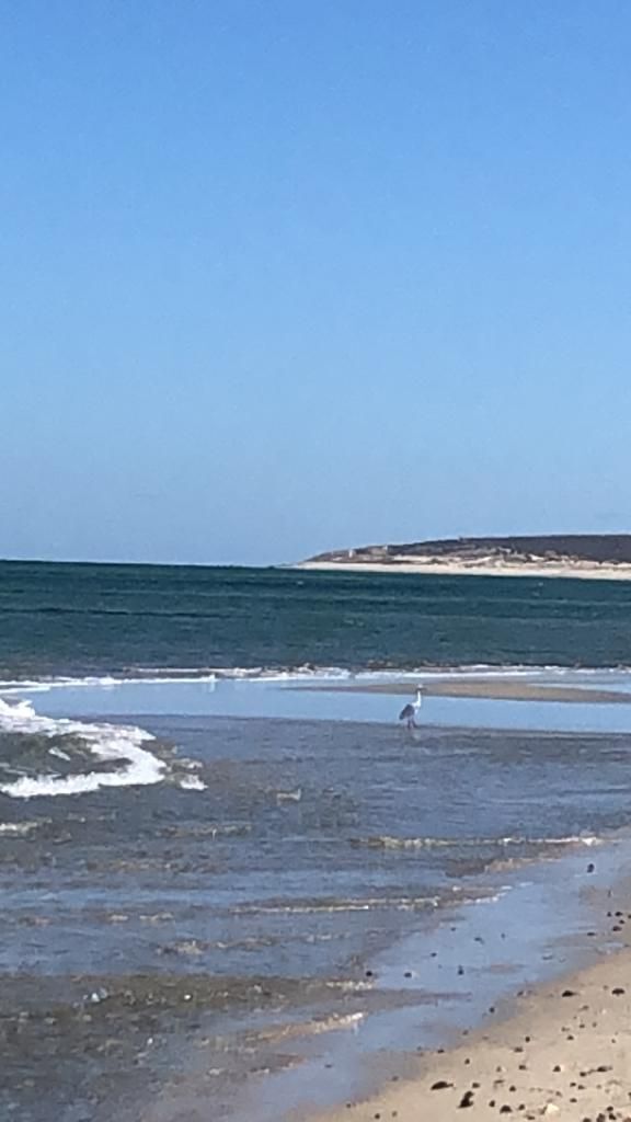 Terreno en La Rivera, Los Cabos, foto 33 de 34
