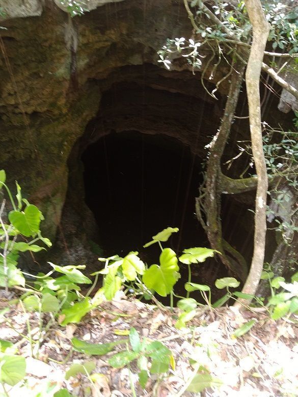 3 de 18: Paredes de piedra, con vegetación alrededor de la boca del c