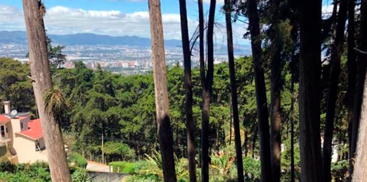 2 de 2: Terreno