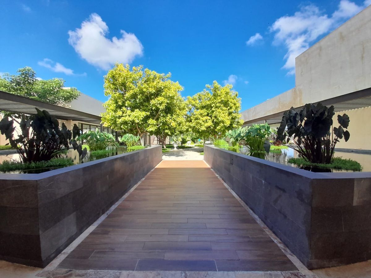 8 de 24: áreas  verdes