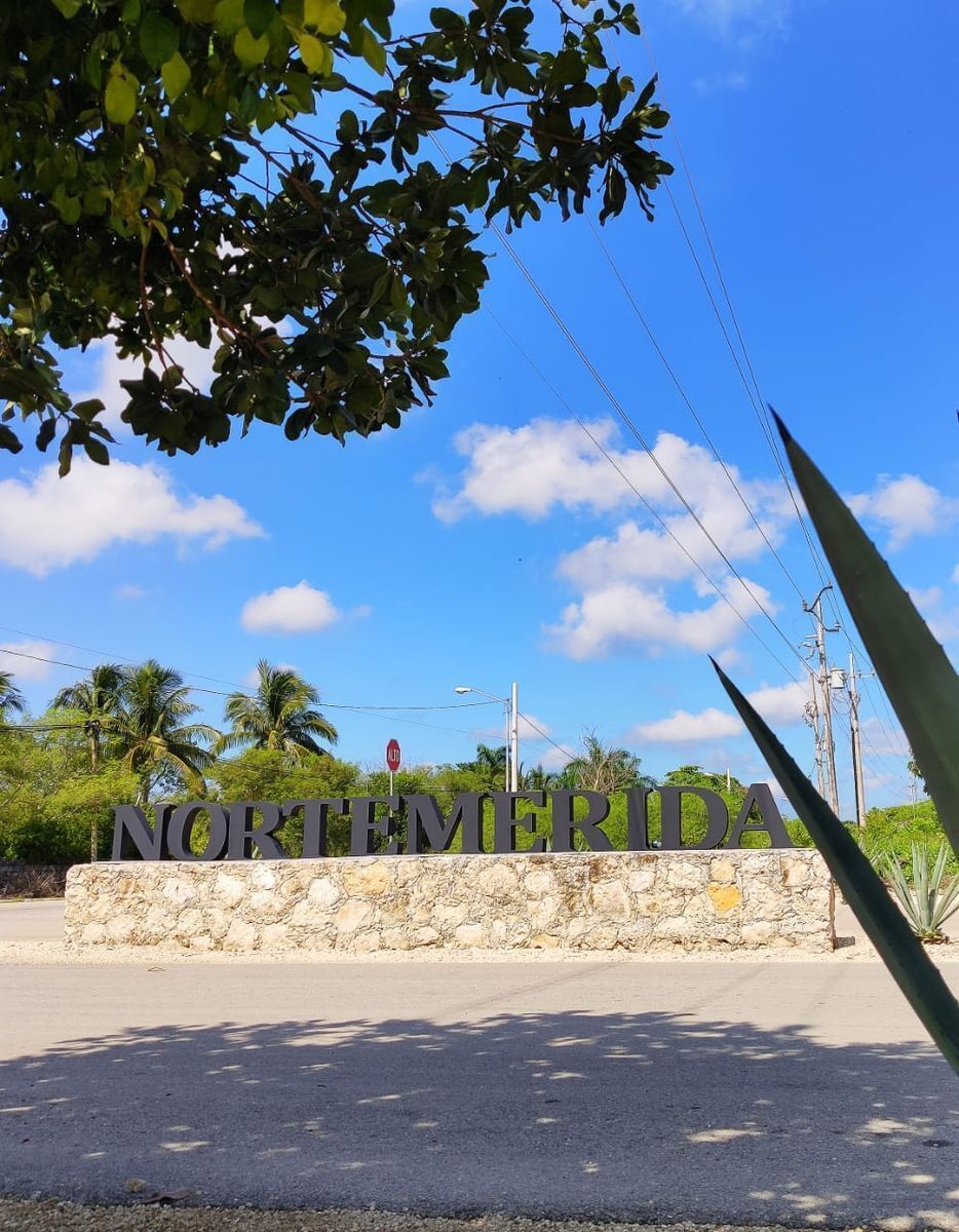 3 de 24: nombre del desarrollo