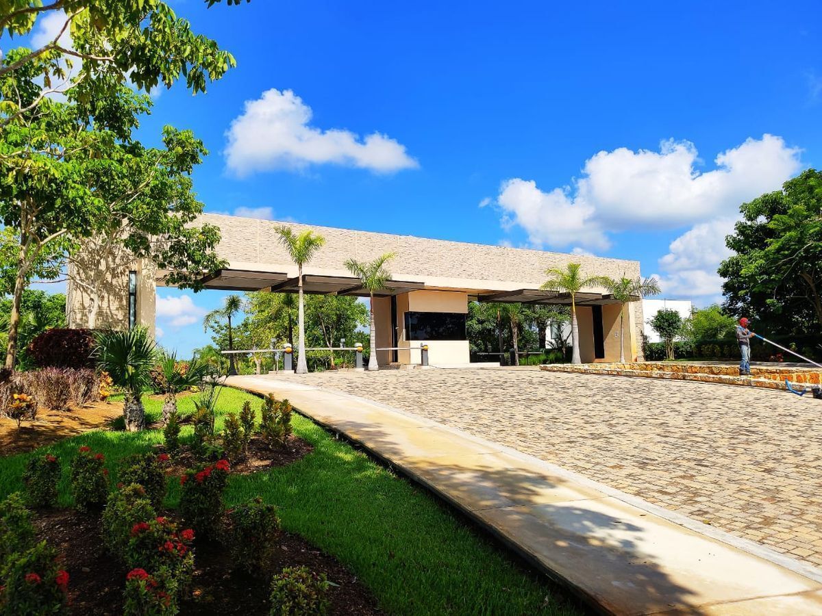 1 de 24: entrada al desarrollo