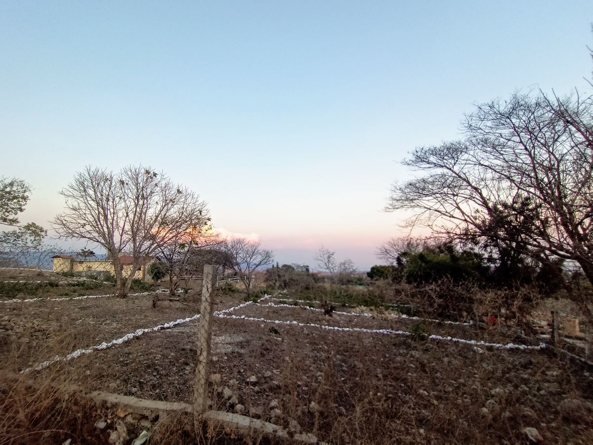 10 de 20