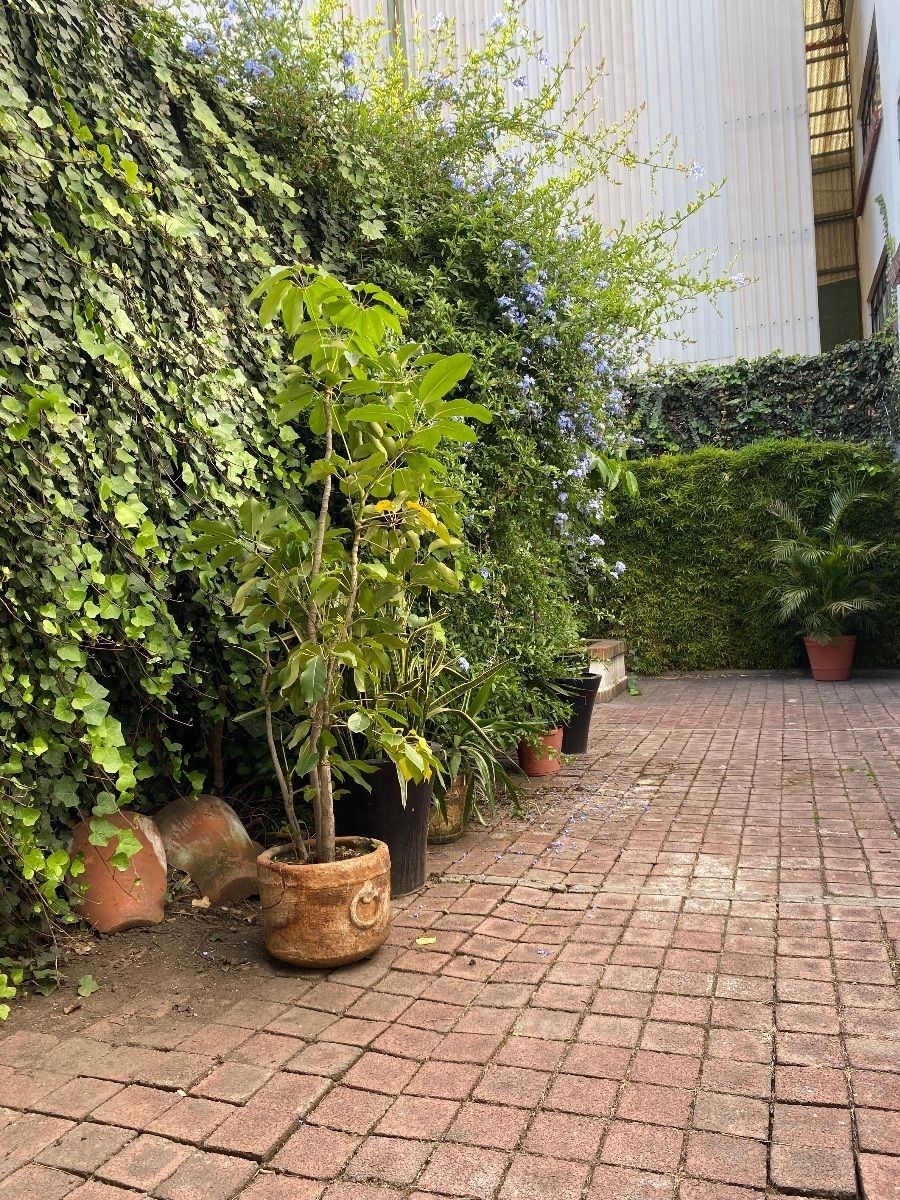 13 de 36