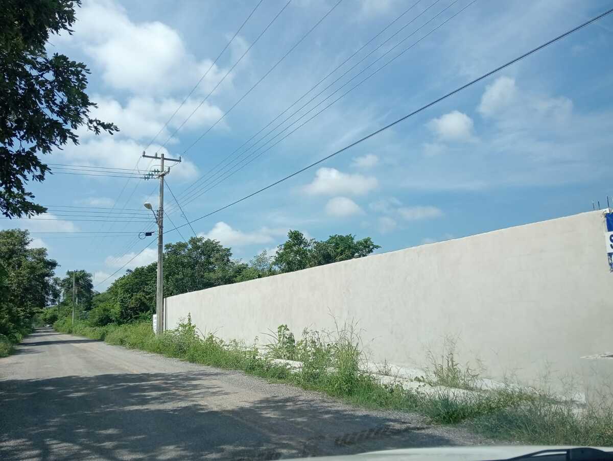 5 de 10