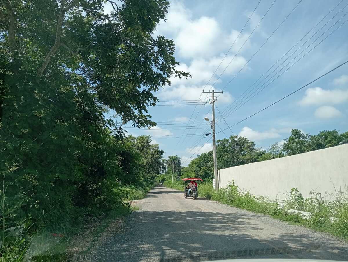 7 de 10