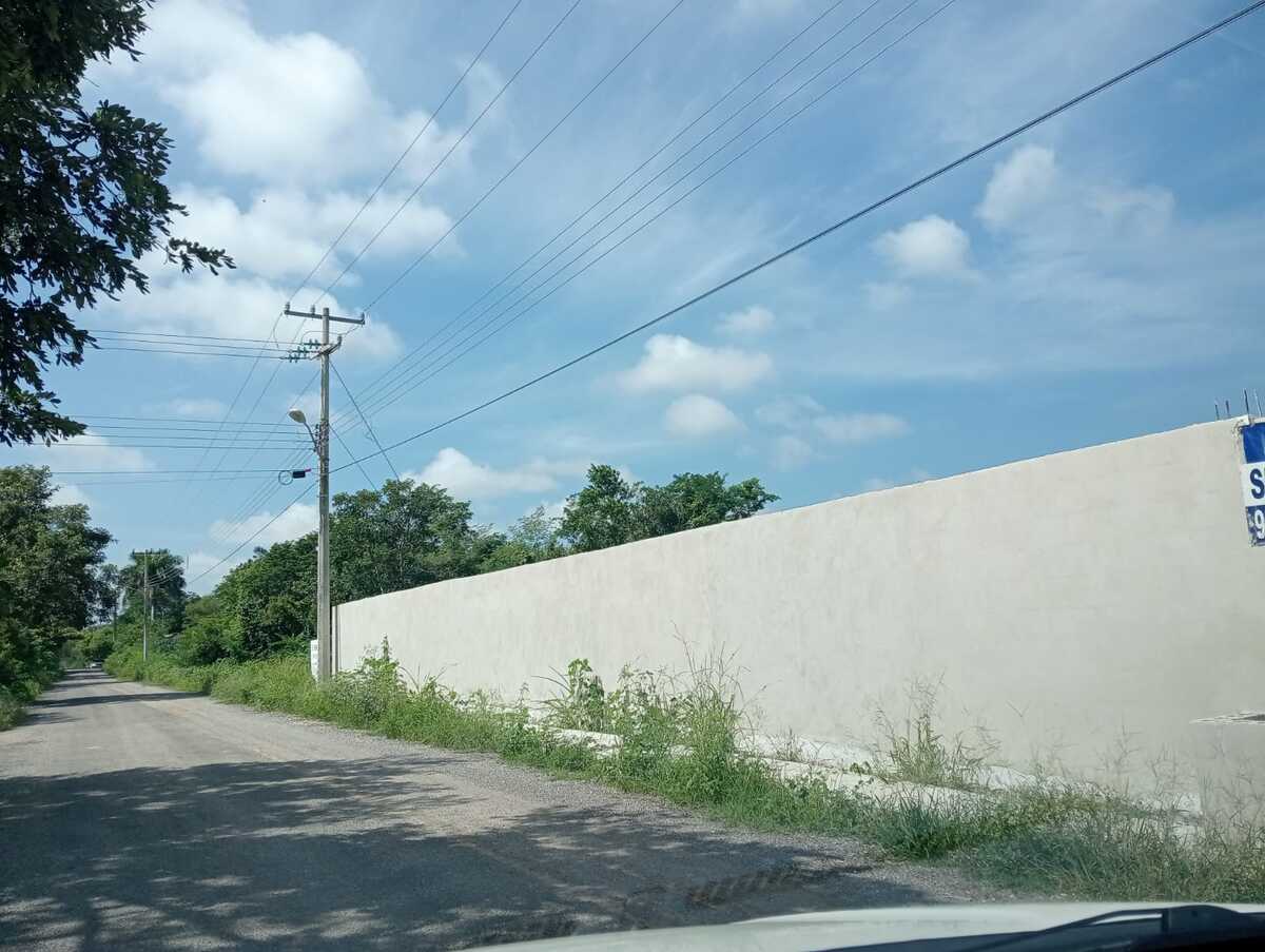 9 de 10