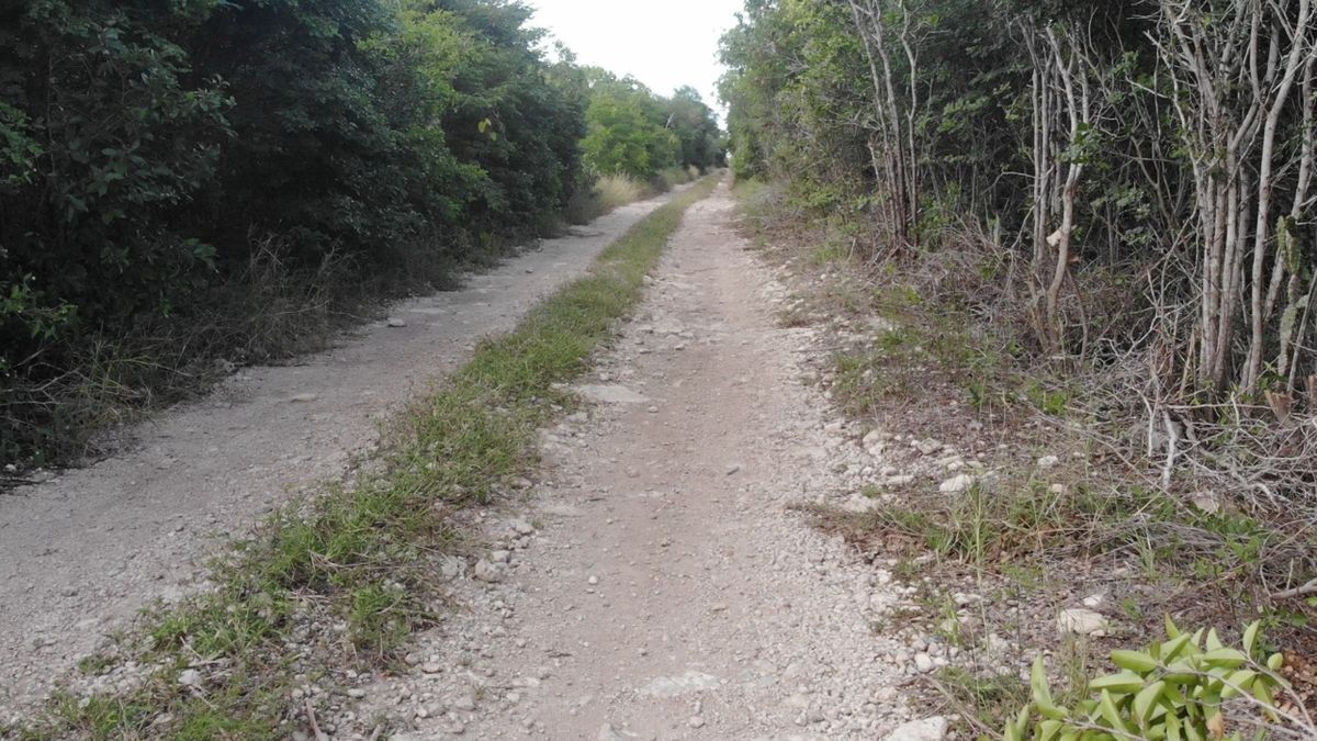5 de 24: VISTA TERRESTRE ZONA DE TERRENO 