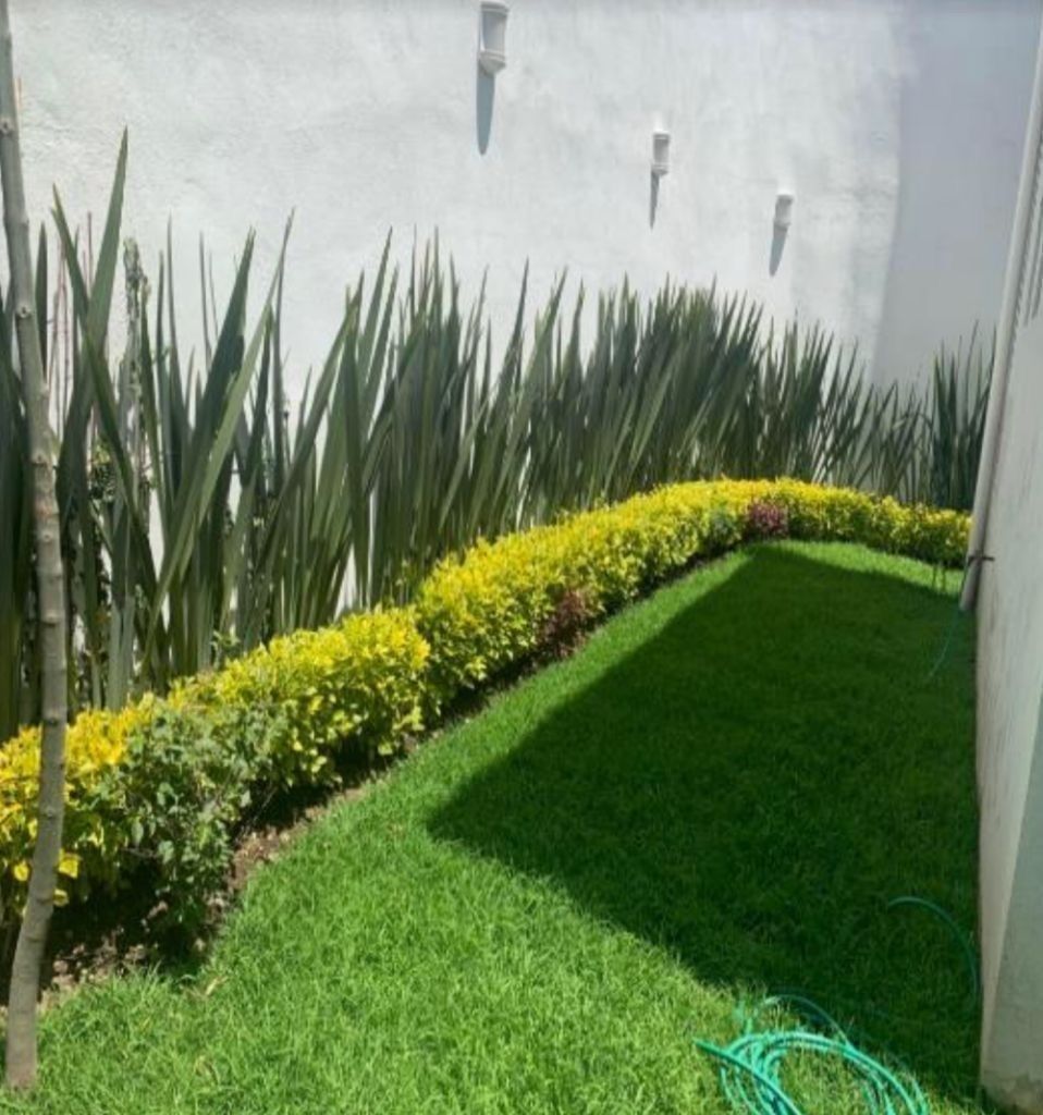 5 de 50: Jardín trasero