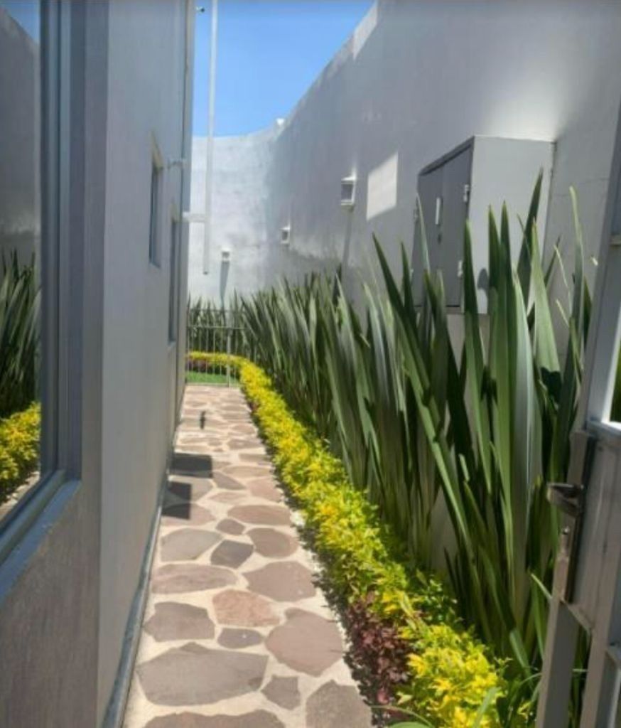 3 de 50: Paso al jardín trasero