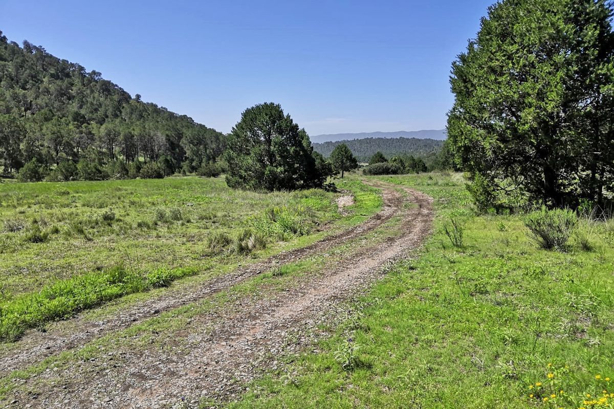 Terreno campestre en VENTA en Sierra Escondida