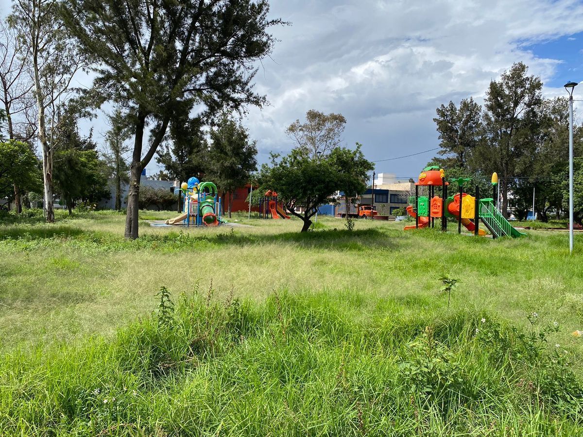 14 de 16