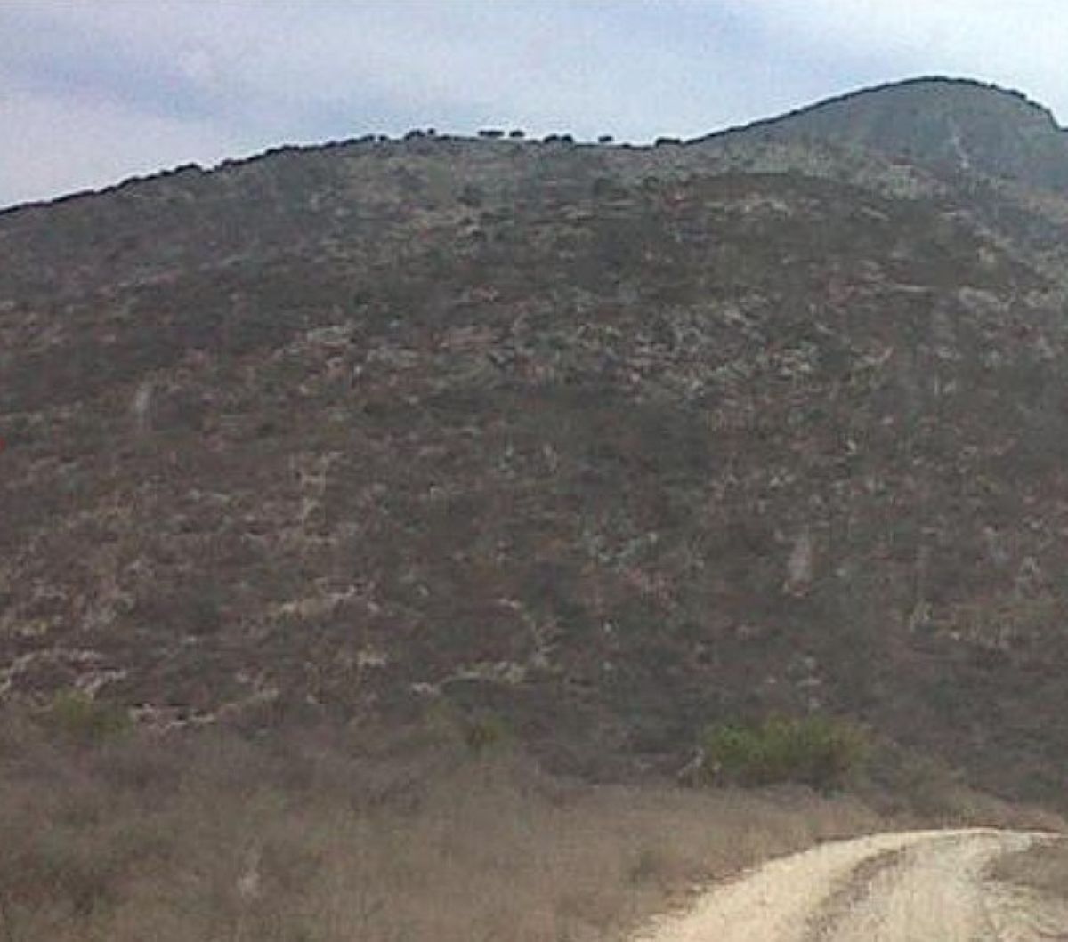 4 de 13