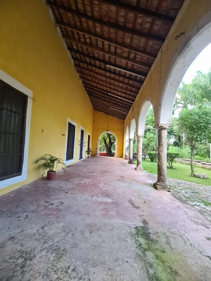 4 de 23