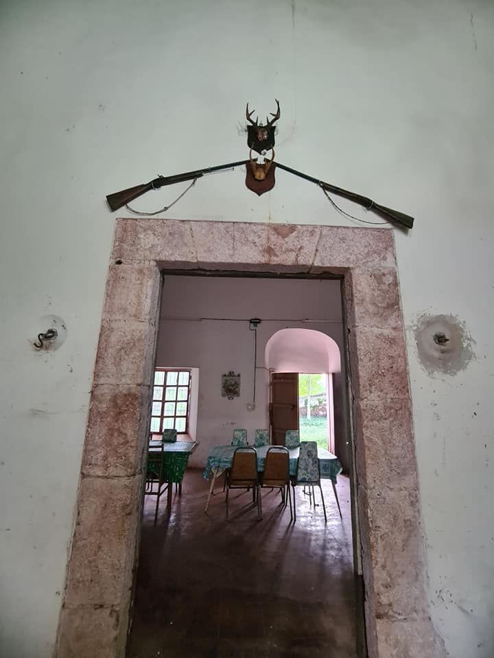 13 de 23