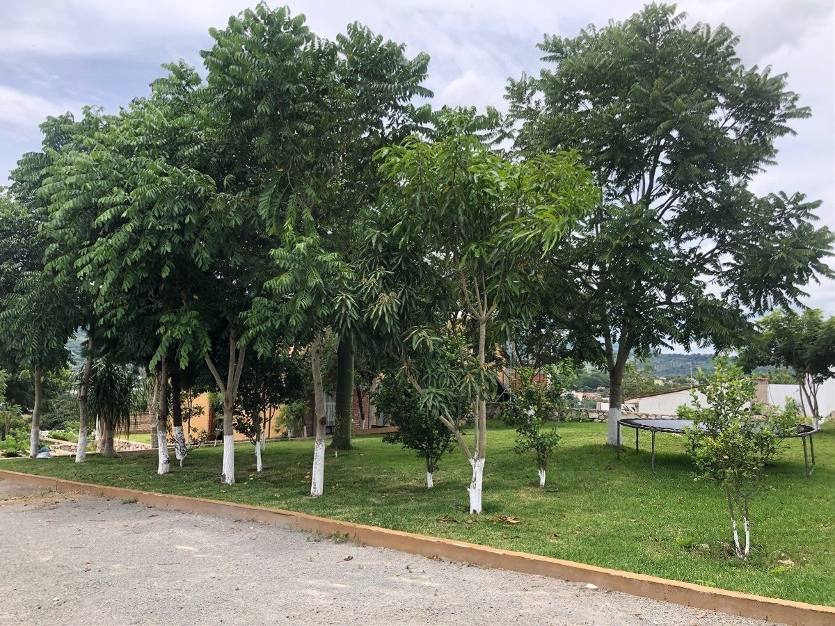 Quinta en Álvaro Obregón, San Fernando, foto 23 de 33