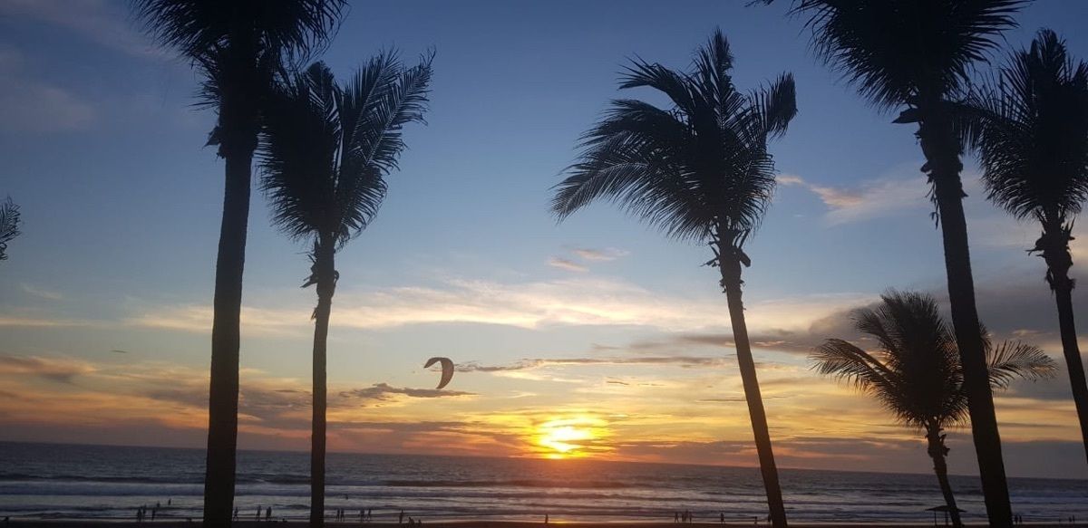 5 de 6