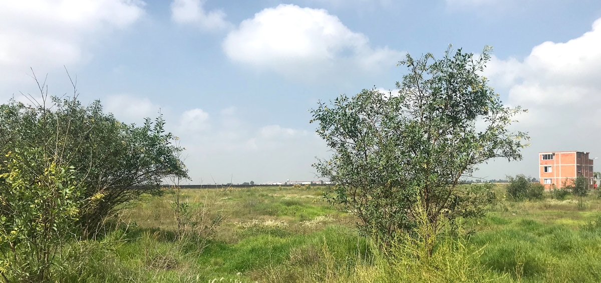 Terreno en venta colindante al AIFA - foto 2