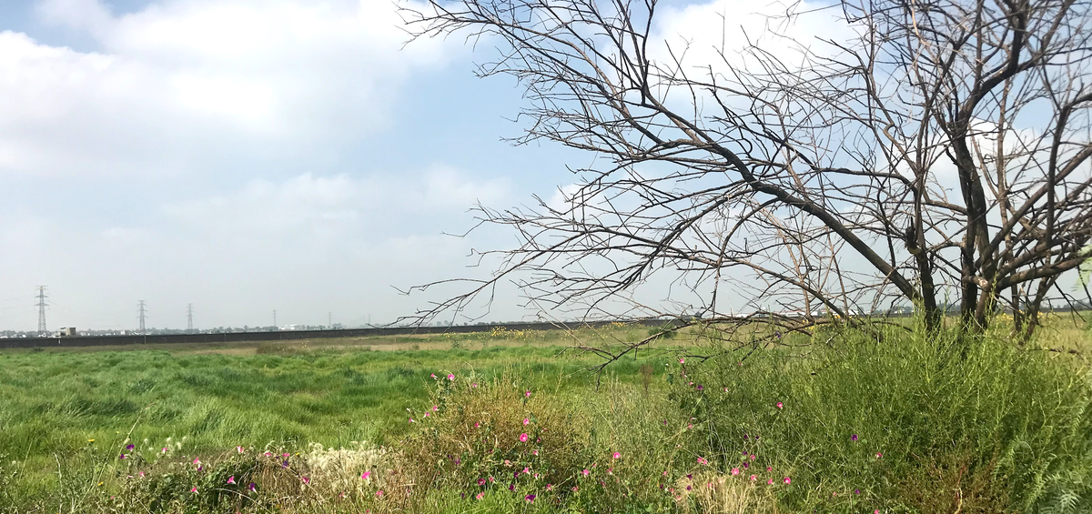 3 de 9: Mas de 108 mil m2