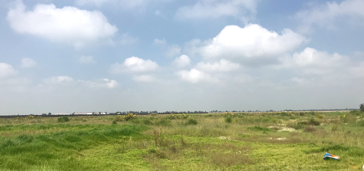 Terreno en venta colindante al AIFA - foto 4